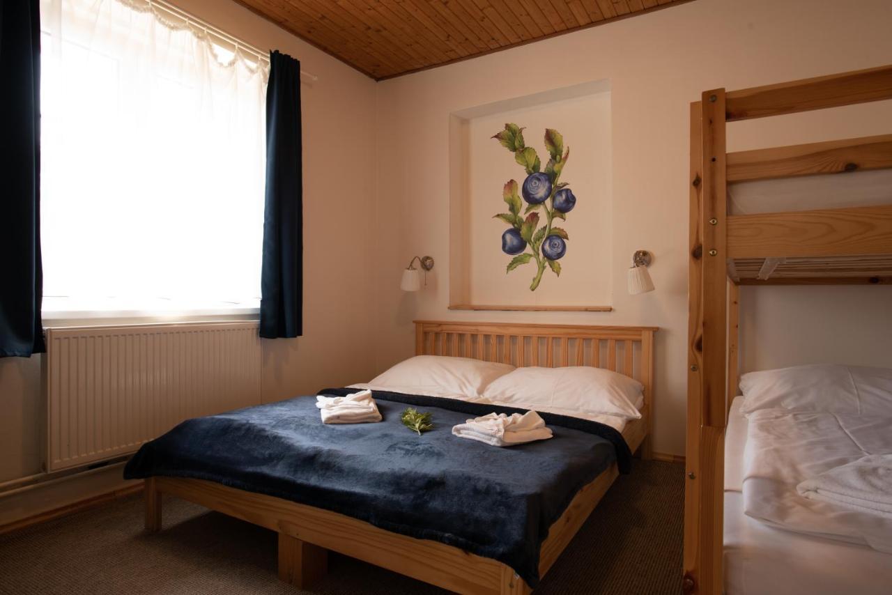 Pension Styl Bedřichov エクステリア 写真