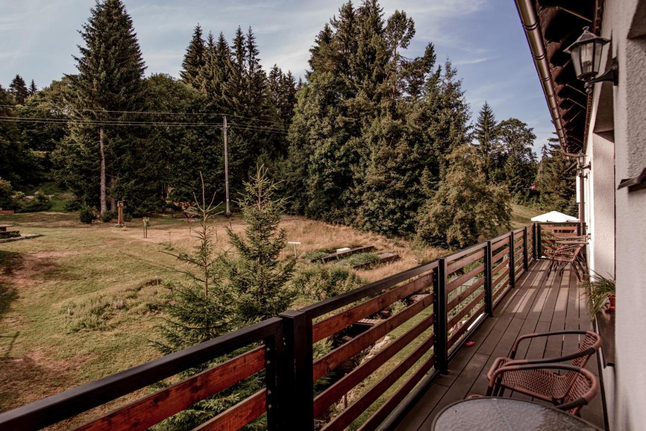 Pension Styl Bedřichov エクステリア 写真